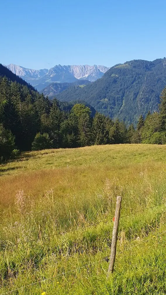Jahreszeitenwanderung Sommer Taubensee 2024 August | © DAV Markt Schwaben | Foto Anna Maria Blau