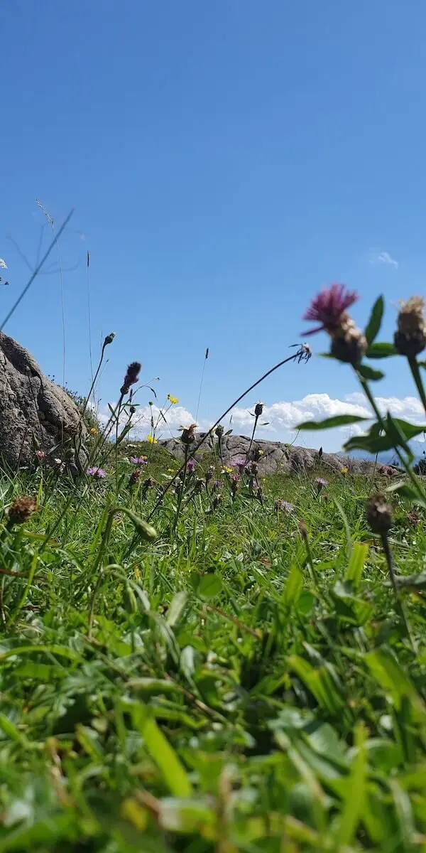 Jahreszeitenwanderung Sommer Taubensee 2024 August | © DAV Markt Schwaben | Foto Anna Maria Blau