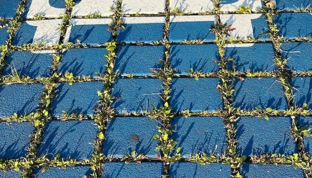 Jahreszeitenwanderung Sommer Taubensee 2024 August | © DAV Markt Schwaben | Foto Elke Kressirer