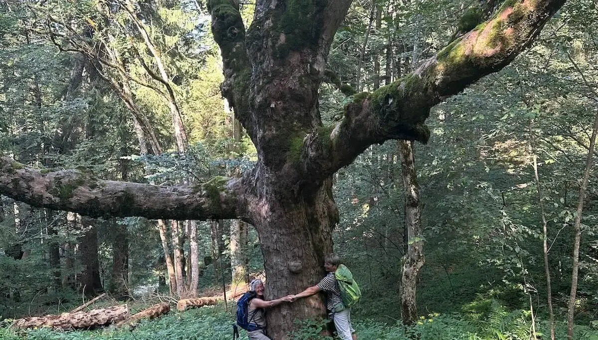 Jahreszeitenwanderung Sommer Taubensee 2024 August | © DAV Markt Schwaben | Foto Elke Kressirer