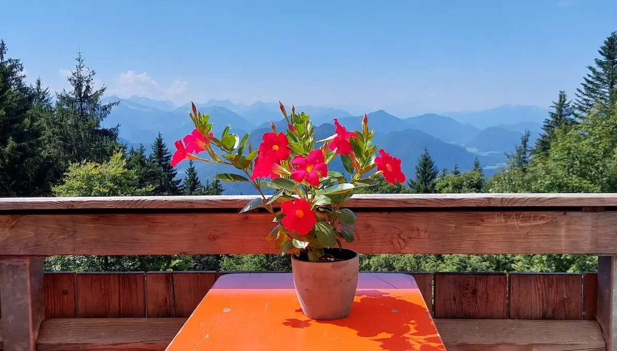 Wanderung Lenggries August 2024 | © DAV Markt Schwaben | Fotot Hubert Inhofer