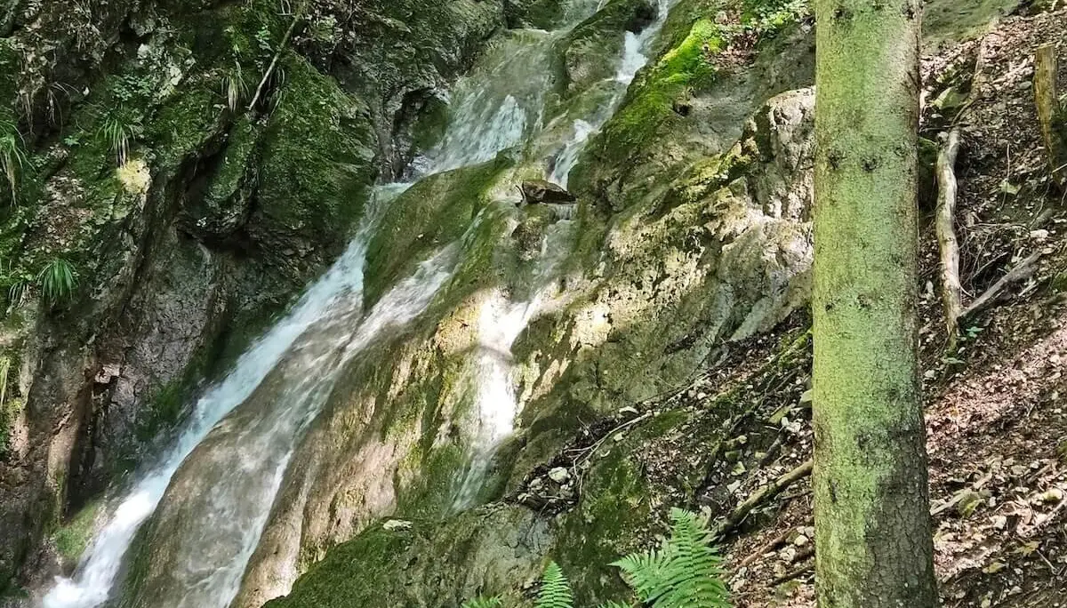 Wanderung Lenggries August 2024 | © DAV Markt Schwaben | Fotot Hubert Inhofer