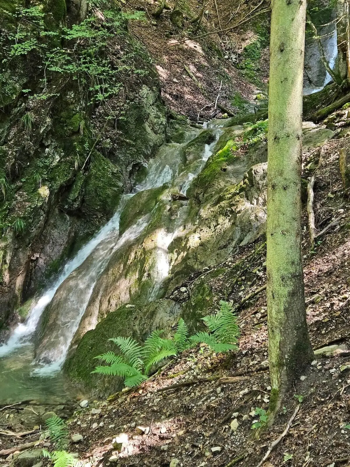 Wanderung Lenggries August 2024 | © DAV Markt Schwaben | Fotot Hubert Inhofer