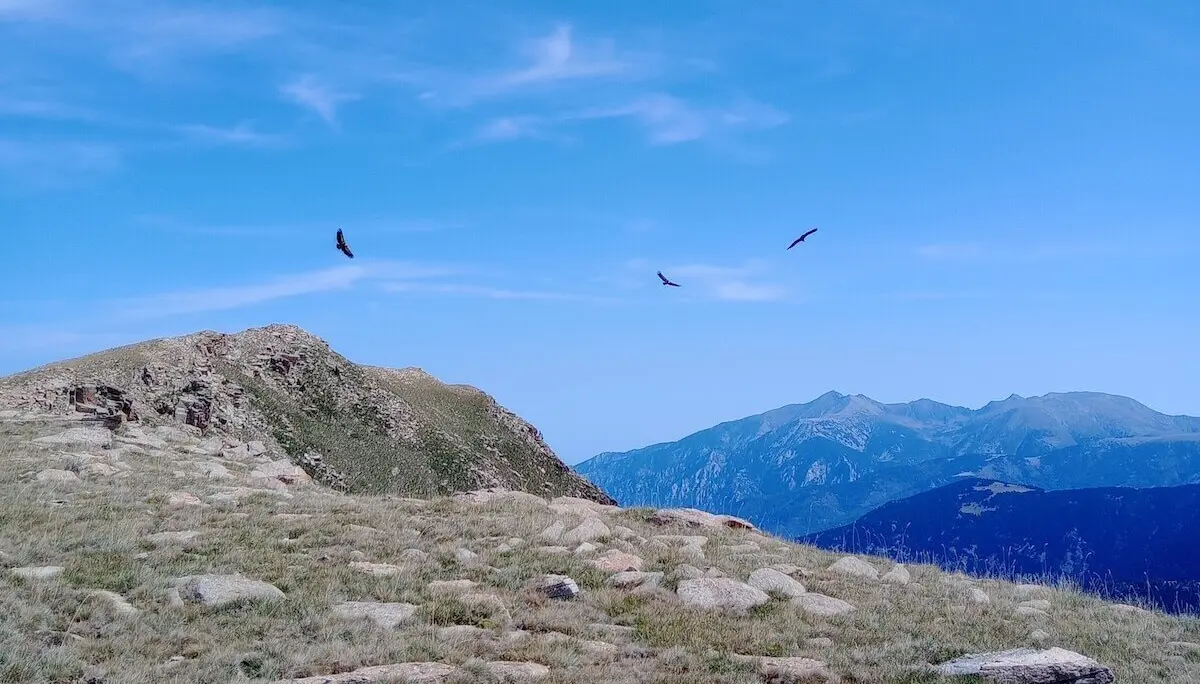 Bergsteigen Pyrenäen 22.Aug - 03. Sep.2024 | © DAV Markt Schwaben | Foto Sabine Hainz