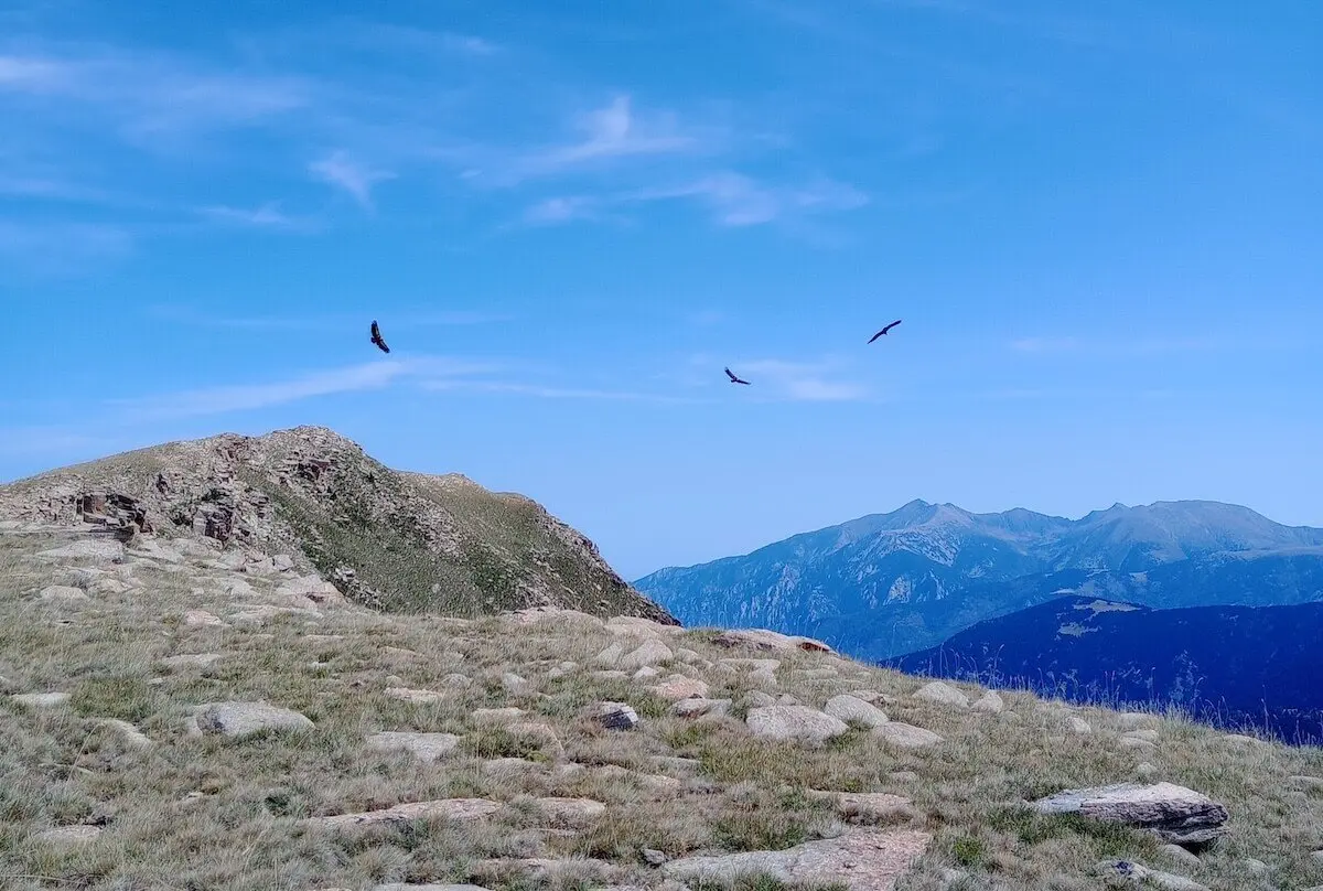 Bergsteigen Pyrenäen 22.Aug - 03. Sep.2024 | © DAV Markt Schwaben | Foto Sabine Hainz