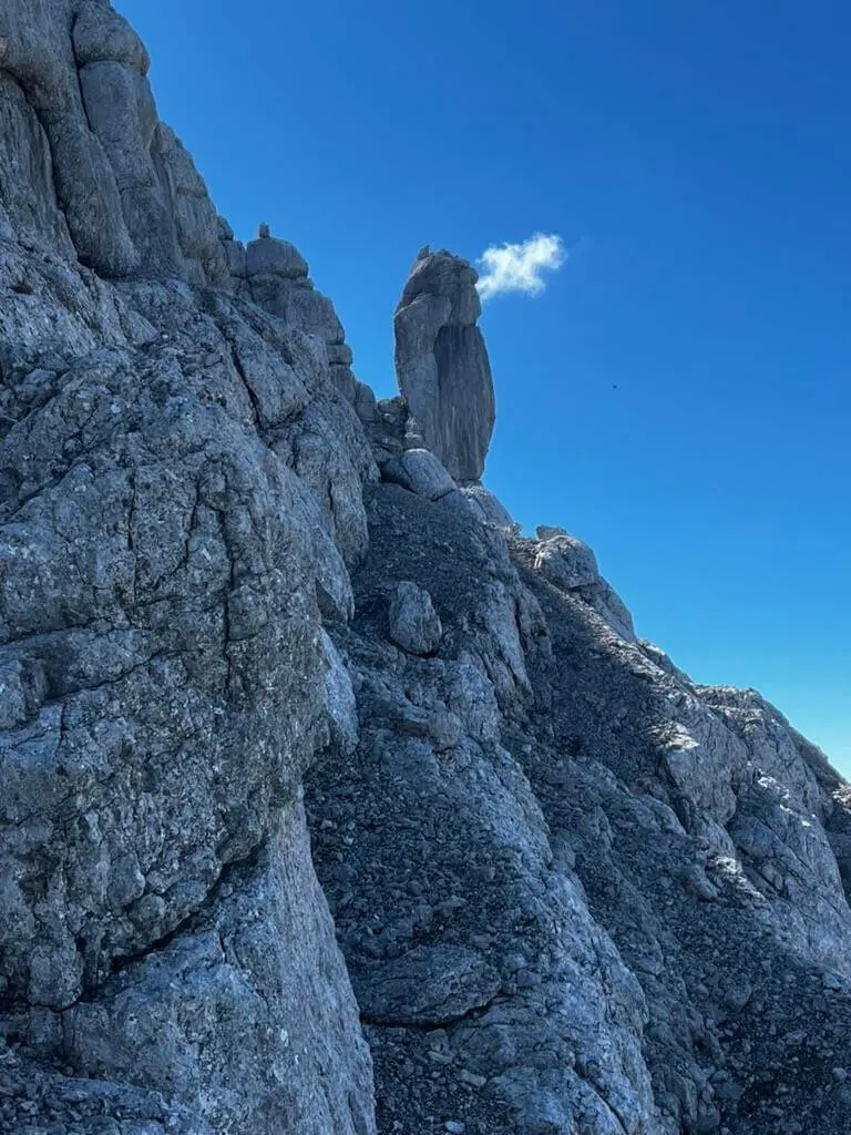 In der Nordwestflanke des Großen Ochsenhorns | © Markus Sellmeier