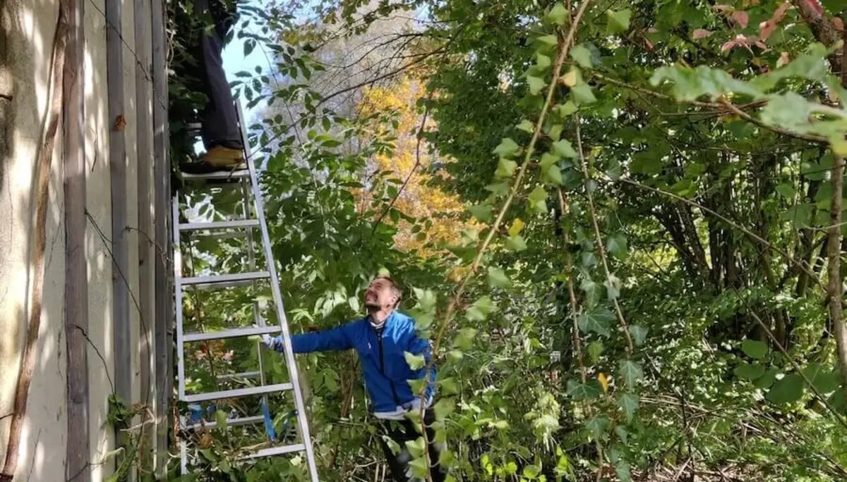 Arbeitsdienst Bodenaustausch 10-12 Oktober 2024 | © DAV Markt Schwaben