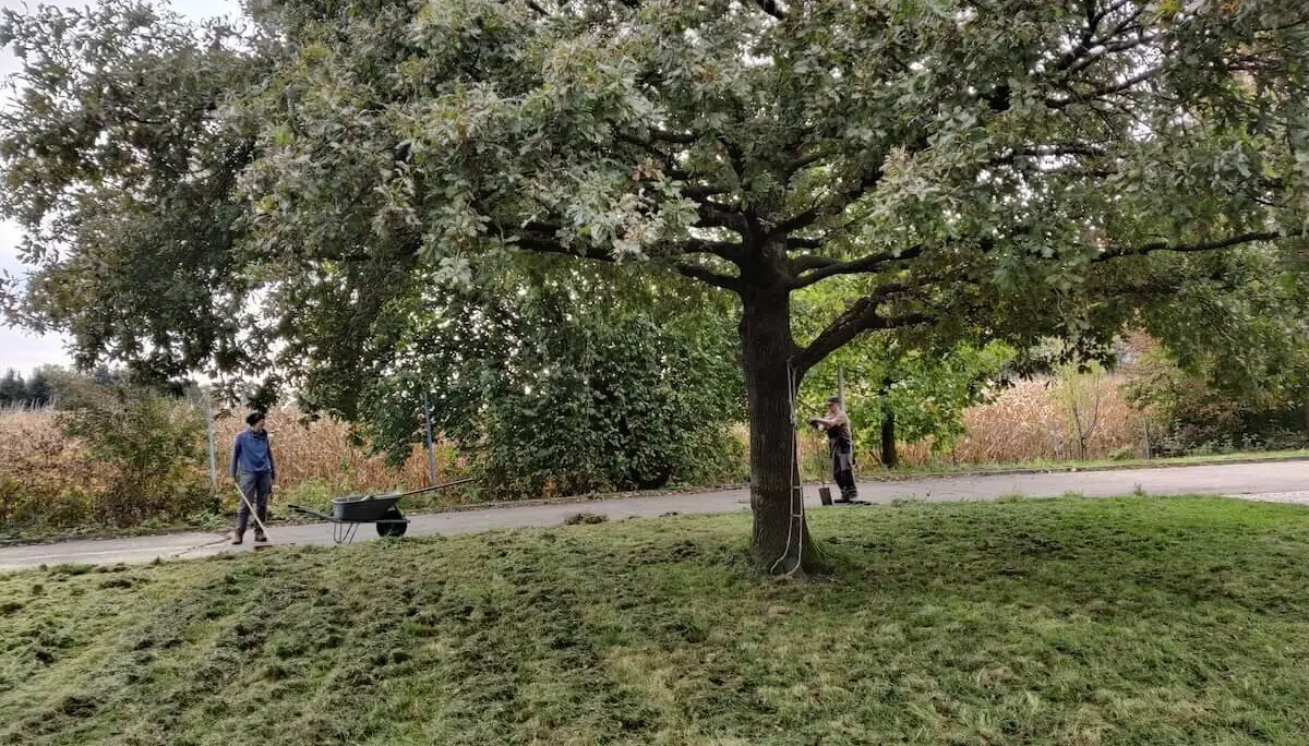 Arbeitsdienst Bodenaustausch 10-12 Oktober 2024 | © DAV Markt Schwaben