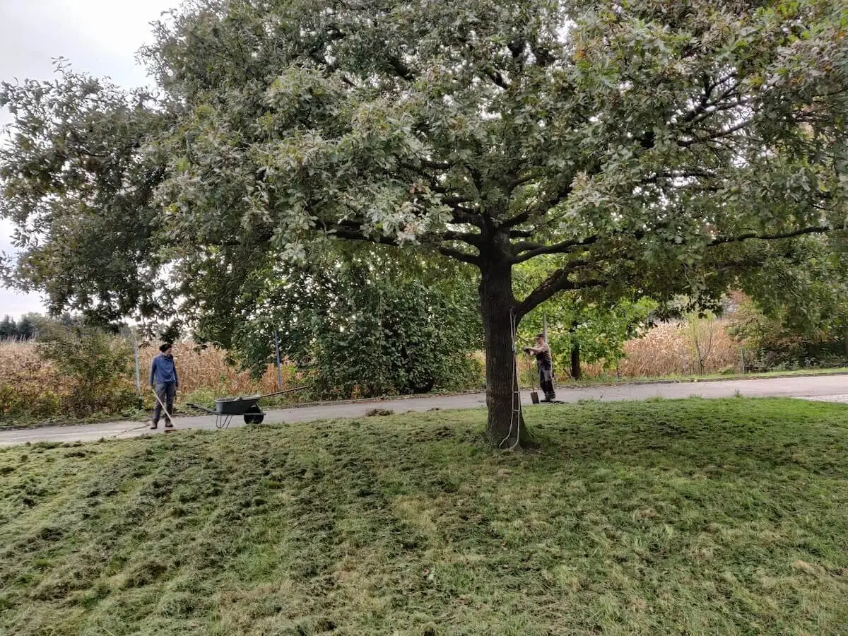 Arbeitsdienst Bodenaustausch 10-12 Oktober 2024 | © DAV Markt Schwaben