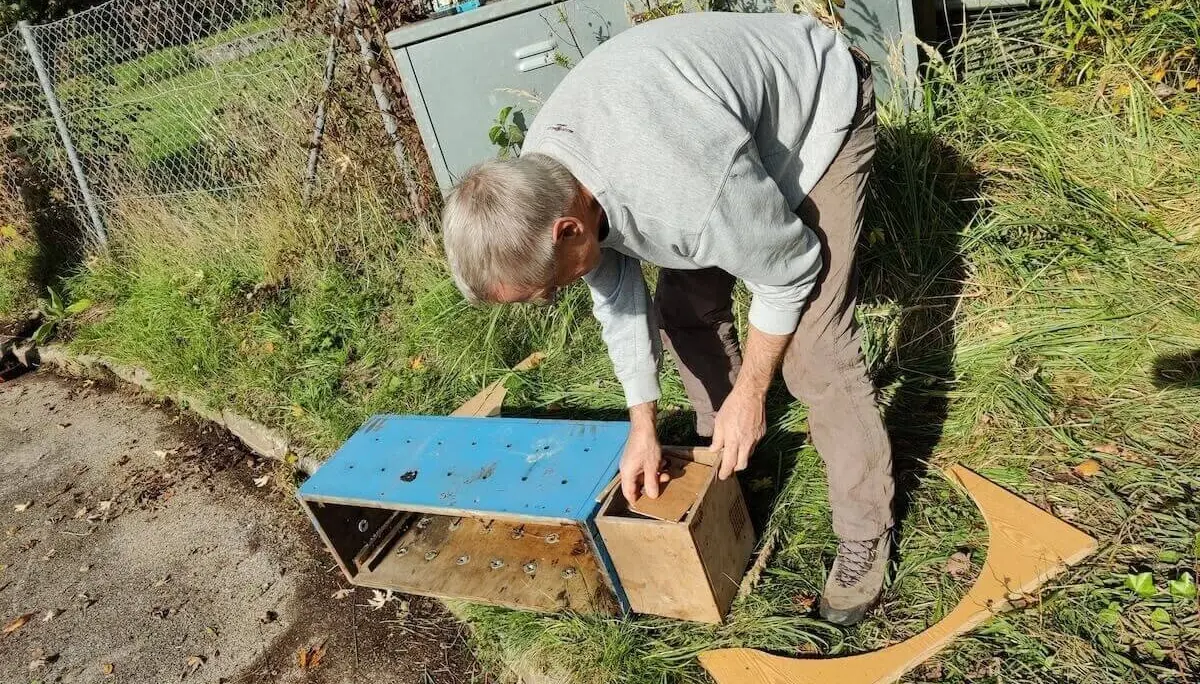 Arbeitsdienst Bodenaustausch 10-12 Oktober 2024 | © DAV Markt Schwaben
