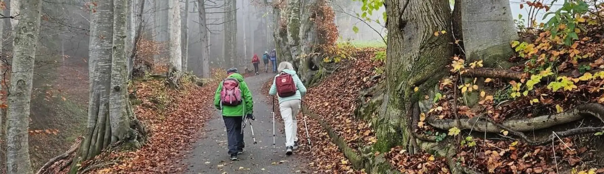 Wanderung November 2024 -Auf dem geteerten Fahrweg zur Schwarzenbergalm | © DAV Markt Schwaben | Foto Hubert Inhofer