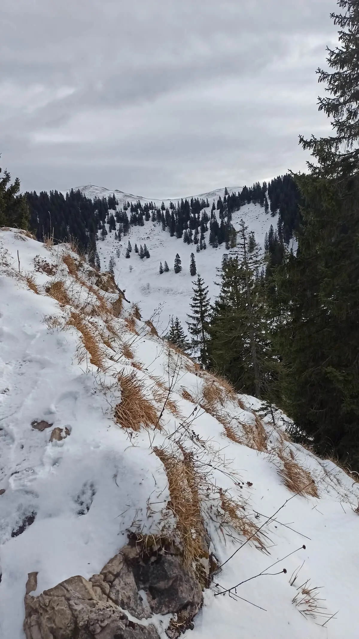 SPIRI Wanderung Graleitenkopf | © DAV Markt Schwaben | Erwin Matzinger