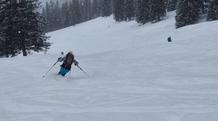 Pulvriger Schnee in der Abfahrt im oberen Bereich | © Peter Langenbacher 2025