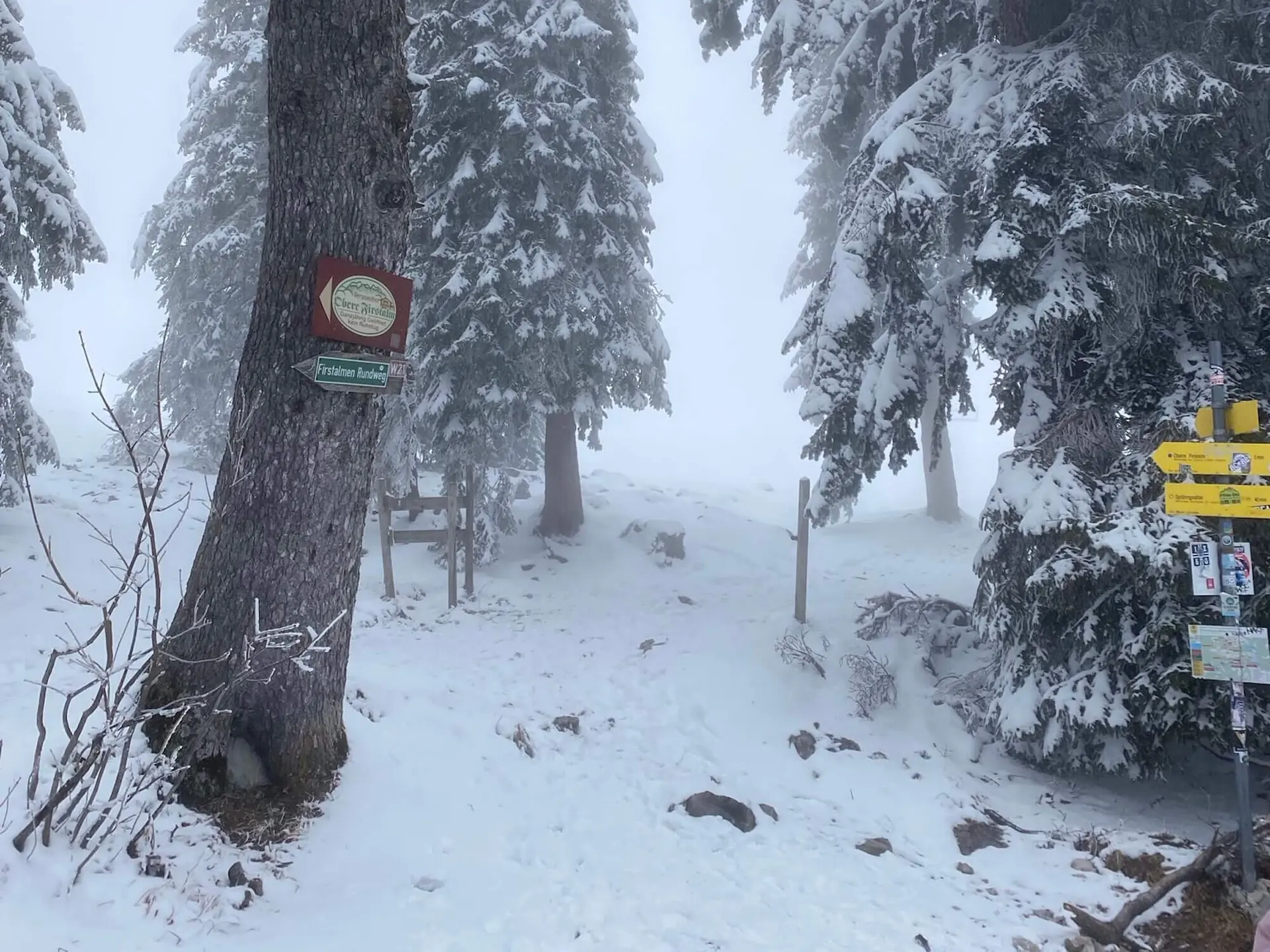 Wegweiser und Schilder im schneebedeckten Winterwald mit eingeschränkter Sicht und ruhiger Atmosphäre. | © DAV Markt Schwaben