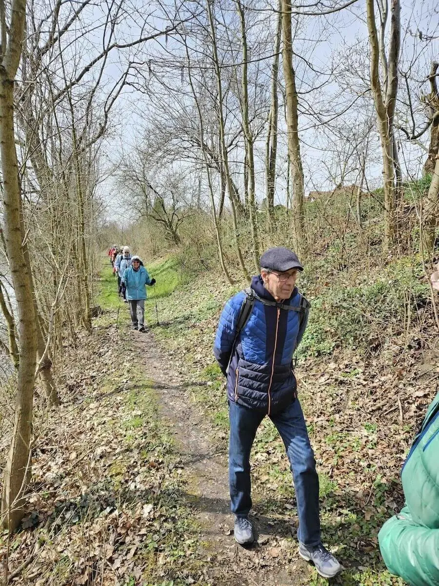 Eine Gruppe von Wanderern geht auf einem schmalen, unbefestigten Pfad durch ein bewaldetes Gebiet. Die Bäume haben überwiegend kahle Äste, was auf frühen Frühling oder späten Herbst hindeutet. Der Boden ist mit gefallenen Blättern und grünem Gras bedeckt. Die Wanderer tragen Outdoor-Kleidung, darunter Jacken und Rucksäcke. | © DAV Markt Schwaben