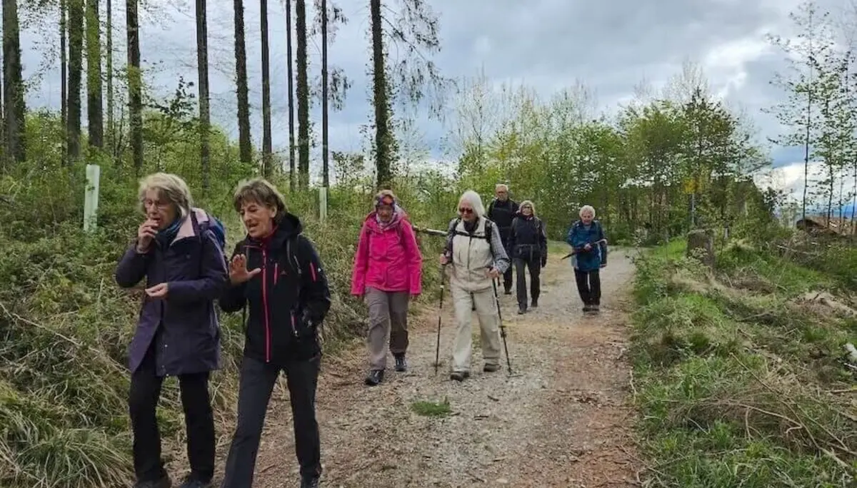 Eine Gruppe von Senioren auf einer Wanderung durch einen Waldweg. Die Umgebung ist von hohen Bäumen und viel Grün geprägt, während der Himmel bewölkt ist. Die Wanderer tragen Outdoor-Kleidung und einige nutzen Wanderstöcke. Es scheint eine gesellige und aktive Unternehmung zu sein, die Natur und Gemeinschaft verbindet. | © DAV Markt Schwaben / Hubert Inhofer