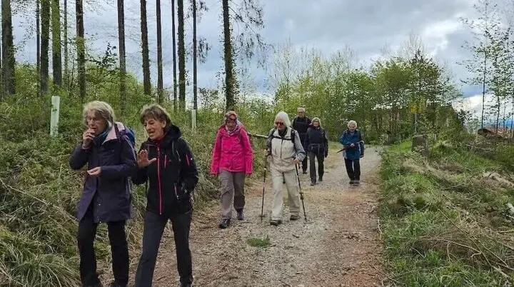 Eine Gruppe von Senioren auf einer Wanderung durch einen Waldweg. Die Umgebung ist von hohen Bäumen und viel Grün geprägt, während der Himmel bewölkt ist. Die Wanderer tragen Outdoor-Kleidung und einige nutzen Wanderstöcke. Es scheint eine gesellige und aktive Unternehmung zu sein, die Natur und Gemeinschaft verbindet. | © DAV Markt Schwaben / Hubert Inhofer