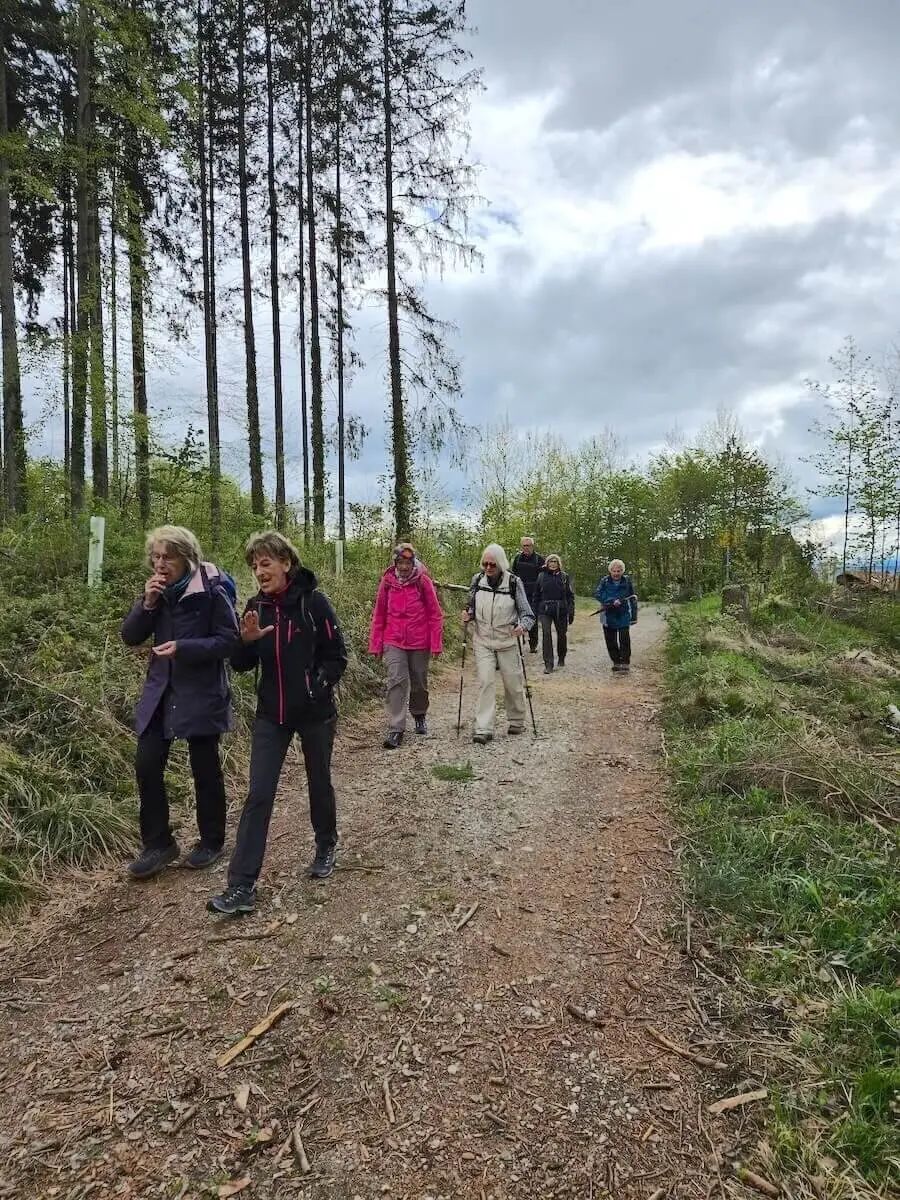 Eine Gruppe von Senioren auf einer Wanderung durch einen Waldweg. Die Umgebung ist von hohen Bäumen und viel Grün geprägt, während der Himmel bewölkt ist. Die Wanderer tragen Outdoor-Kleidung und einige nutzen Wanderstöcke. Es scheint eine gesellige und aktive Unternehmung zu sein, die Natur und Gemeinschaft verbindet. | © DAV Markt Schwaben / Hubert Inhofer