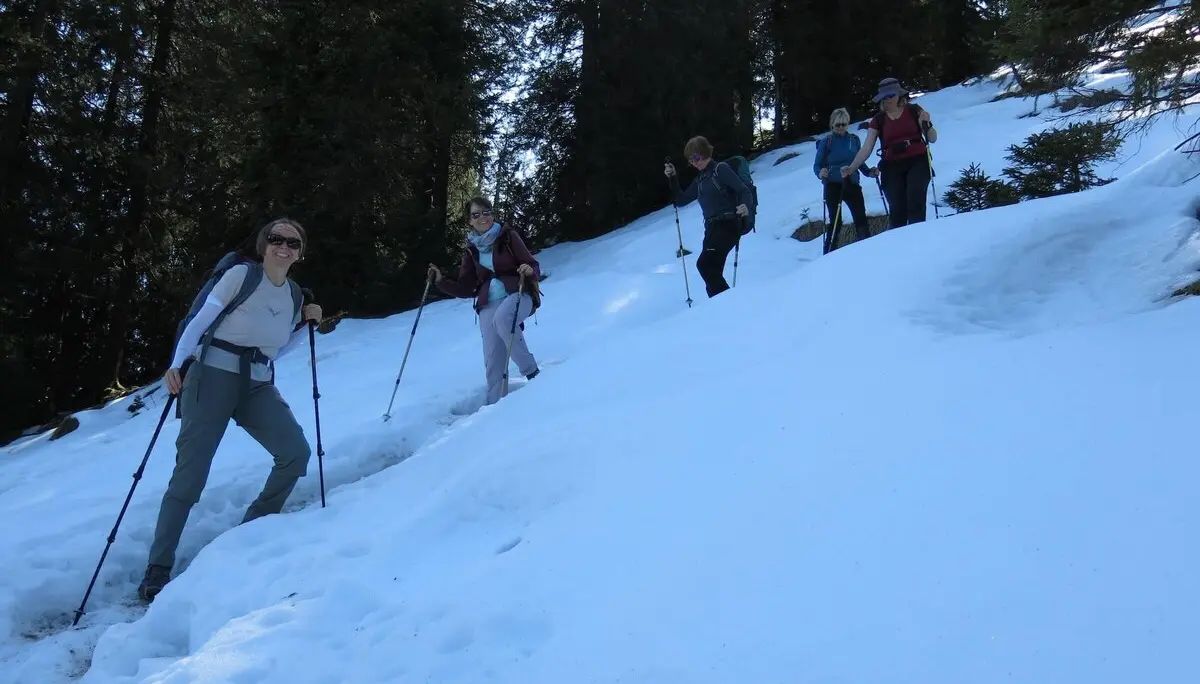 Wanderer genießen die Aussicht auf ein grünes Tal, umgeben von majestätischen Bergen unter klarem Himmel. | © DAV Markt Schwaben | Foto Erwin Matzinger