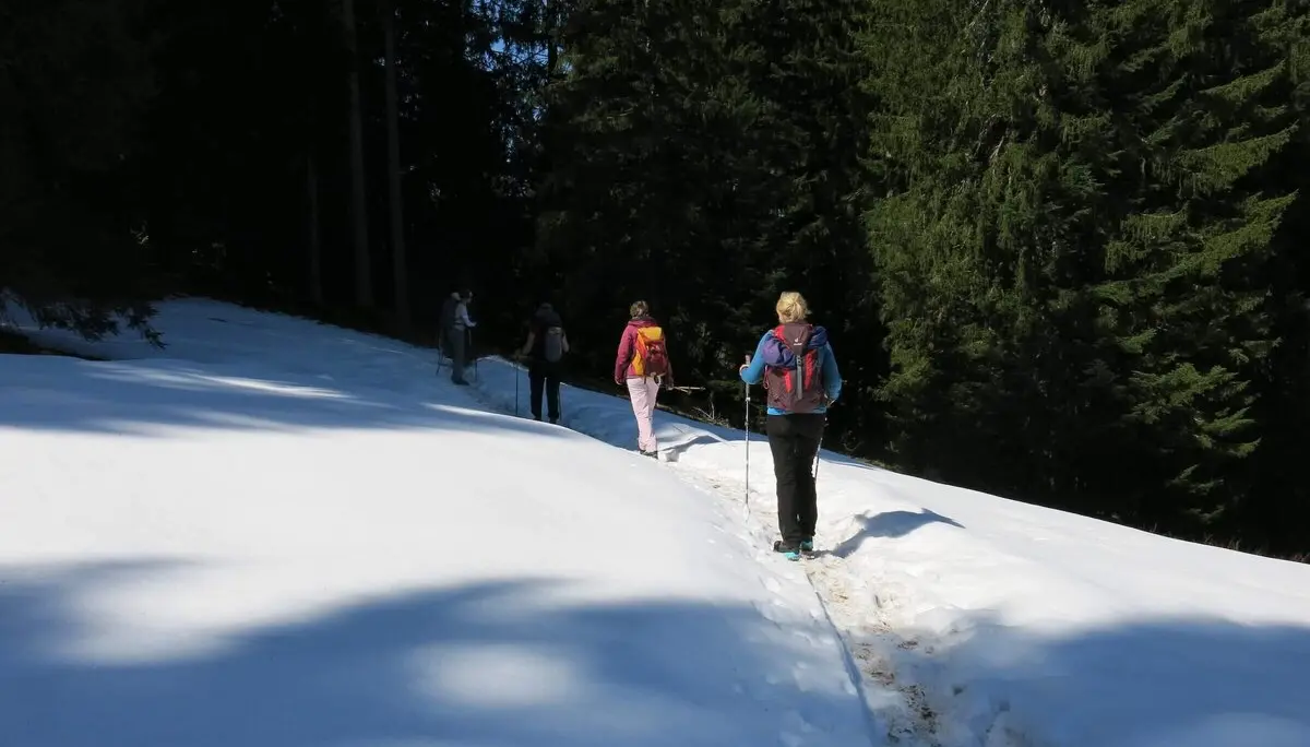Vier Wanderer auf einem schneebedeckten Waldpfad, umgeben von hohen Bäumen und Schatten im Sonnenlicht. | © DAV Markt Schwaben | Foto Erwin Matzinger