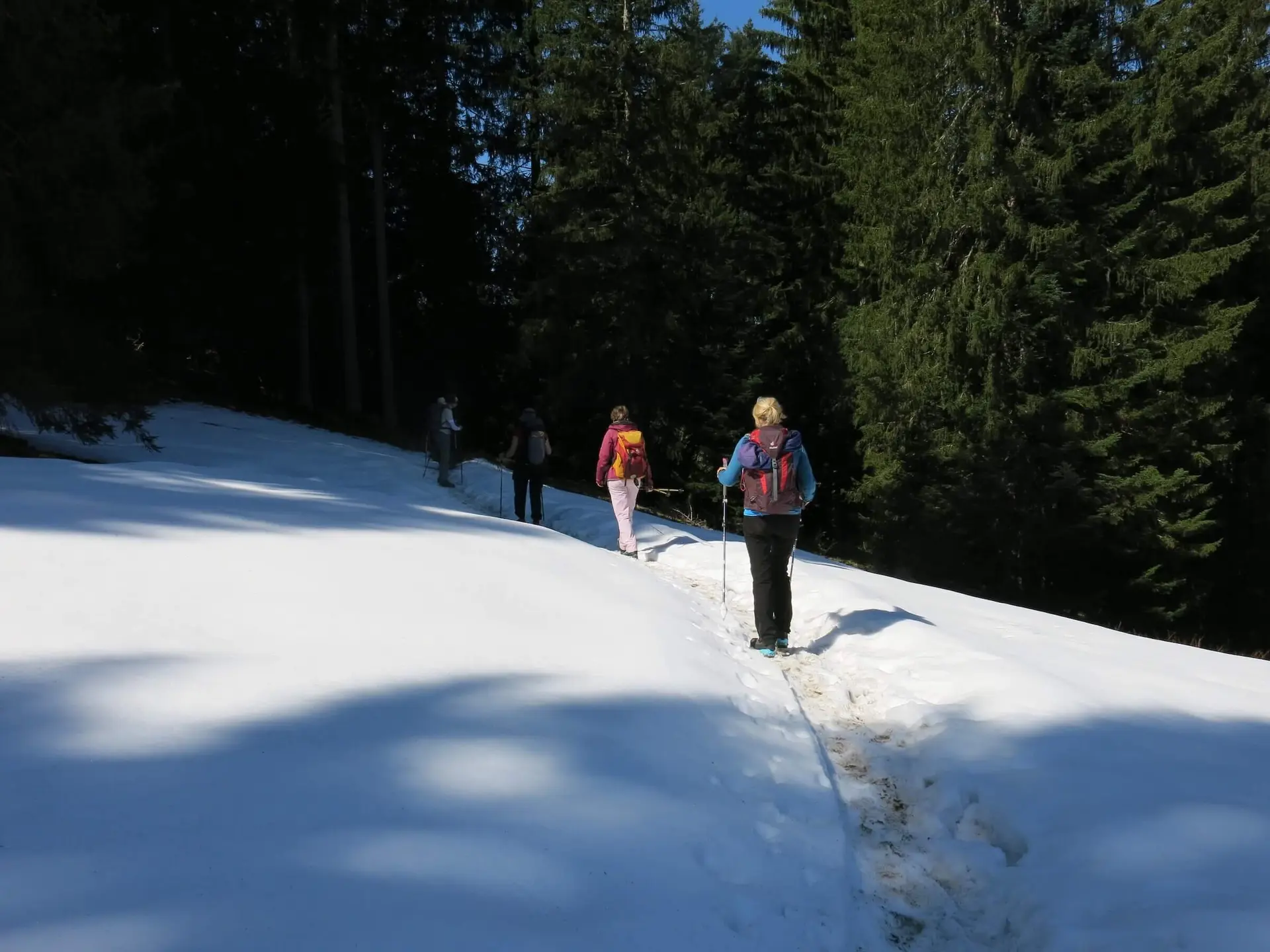 Vier Wanderer auf einem schneebedeckten Waldpfad, umgeben von hohen Bäumen und Schatten im Sonnenlicht. | © DAV Markt Schwaben | Foto Erwin Matzinger