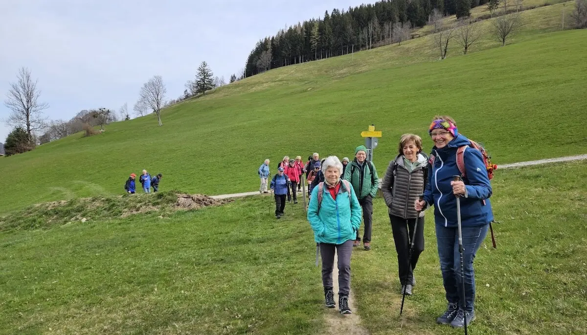 Seniorengruppe genießt Höhenwanderung im April 2025, umgeben von grünen Hügeln und idyllischer Natur. | © DAV Markt Schwaben | Foto Hubert Inhofer