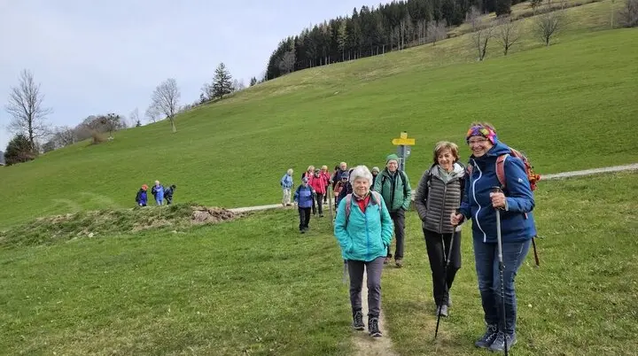 Seniorengruppe genießt Höhenwanderung im April 2025, umgeben von grünen Hügeln und idyllischer Natur. | © DAV Markt Schwaben | Foto Hubert Inhofer