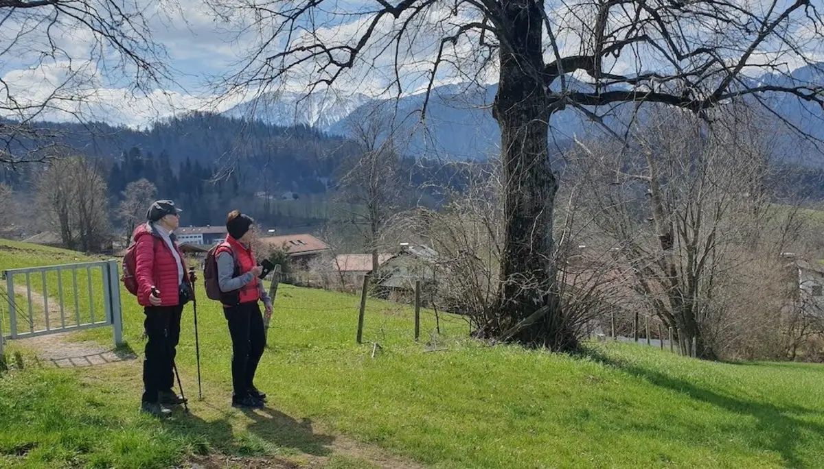 Zwei Personen mit Wanderstöcken stehen auf einer Wiese neben einem großen Baum, mit Blick auf ein Tal und schneebedeckte Berge im Hintergrund. Häuser sind verstreut in der Landschaft zu sehen. | © DAV Markt Schwaben | Foto Hubert Inhofer