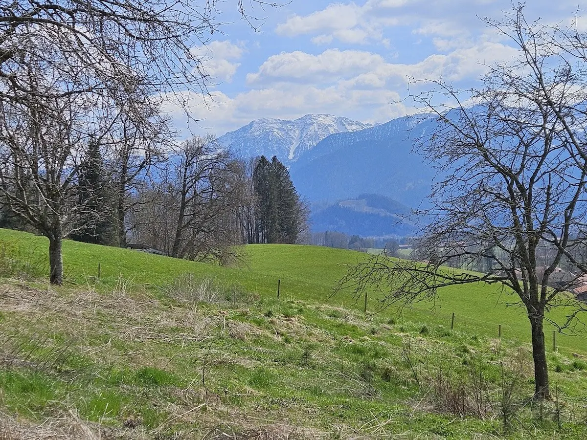 Wiese mit einzelnen Bäumen, teilweise trockenem Gras und schneebedeckten Bergen im Hintergrund unter einem teilweise bewölkten Himmel. Eine ruhige Landschaft mit natürlichem Kontrast zwischen Grün und Weiß. | © DAV Markt Schwaben | Foto Hubert Inhofer