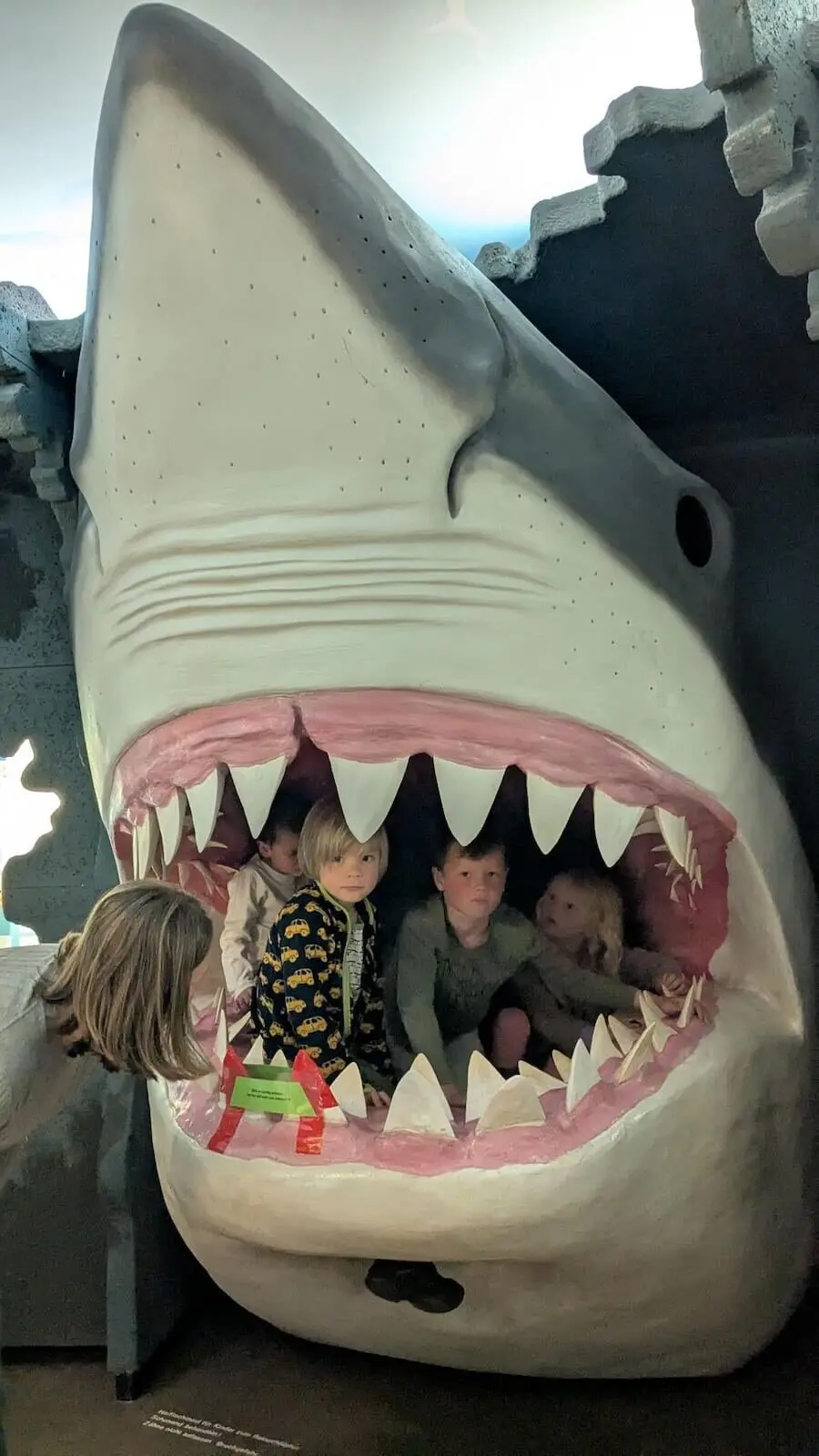 Drei Kinder sitzen im offenen Maul eines riesigen Haifischmodells, das als interaktives Museumsexponat gestaltet ist. | © DAV Markt Schwaben | Familiengruppe