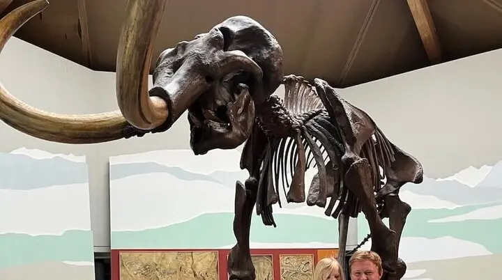 Eine Gruppe von Menschen steht vor einem großen Mammutskelett in einem Museum. Das imposante Skelett mit seinen langen Stoßzähnen ist auf einer erhöhten Plattform ausgestellt, umgeben von Fossilien und einem Wandgemälde mit Landschaftsmotiv. | © DAV Markt Schwaben | Familiengruppe