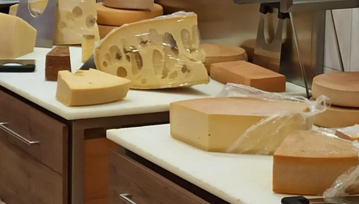 Verschiedene Käsesorten auf einer Theke in Gunzesried, darunter große Laibe und Stücke mit Löchern, liebevoll präsentiert im Laden. | © DAV Markt Schwaben