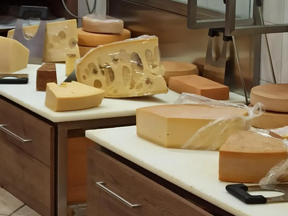 Verschiedene Käsesorten auf einer Theke in Gunzesried, darunter große Laibe und Stücke mit Löchern, liebevoll präsentiert im Laden. | © DAV Markt Schwaben
