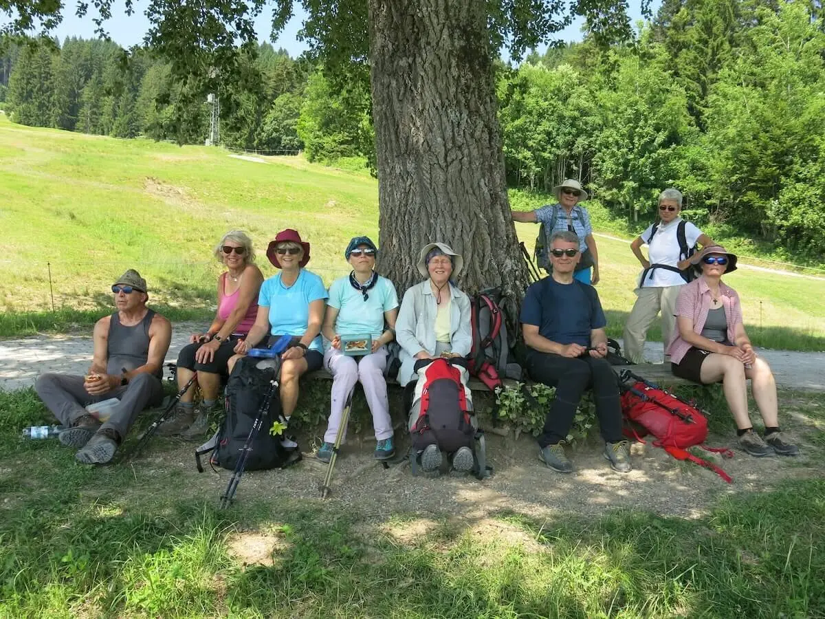 Neun Wandernde ruhen sich unter einem großen Baum aus, umgeben von grünen Hügeln und Natur – ein Moment der Gemeinschaft. | © DAV Markt Schwaben