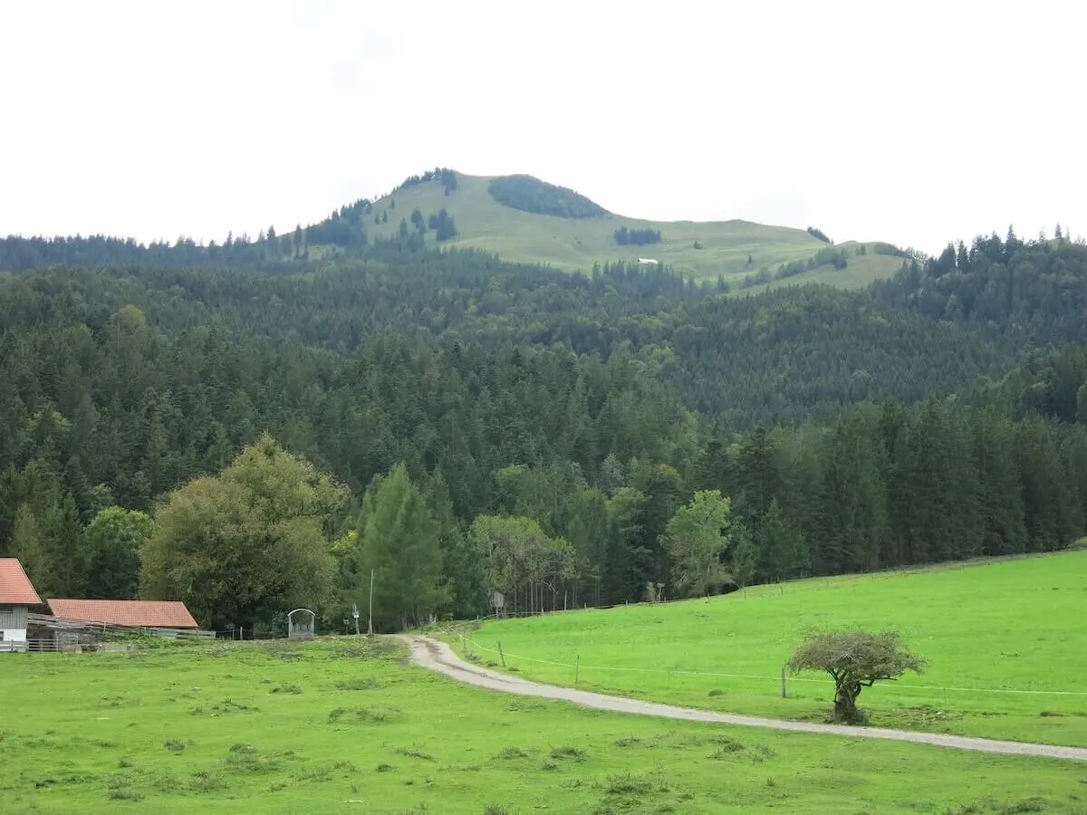 Grüner Wiesenweg führt zu Almgebäuden mit roten Dächern; rechts ein einzelner Baum, dahinter bewaldete Berghänge. | © DAV Markt Schwaben | Foto Erwin Matzinger