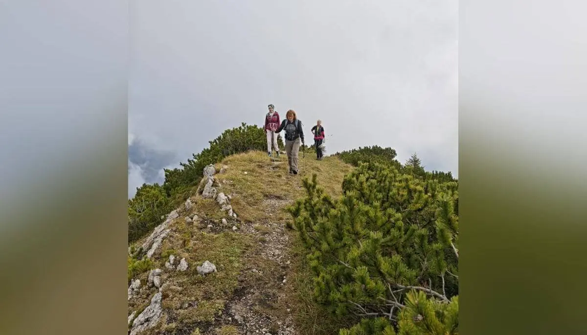 Vier Wandernde auf schmalem, steinigem Gratweg; umgeben von grüner Vegetation und bewölktem Himmel. | © DAV Markt Schwaben | Foto Helga Peters