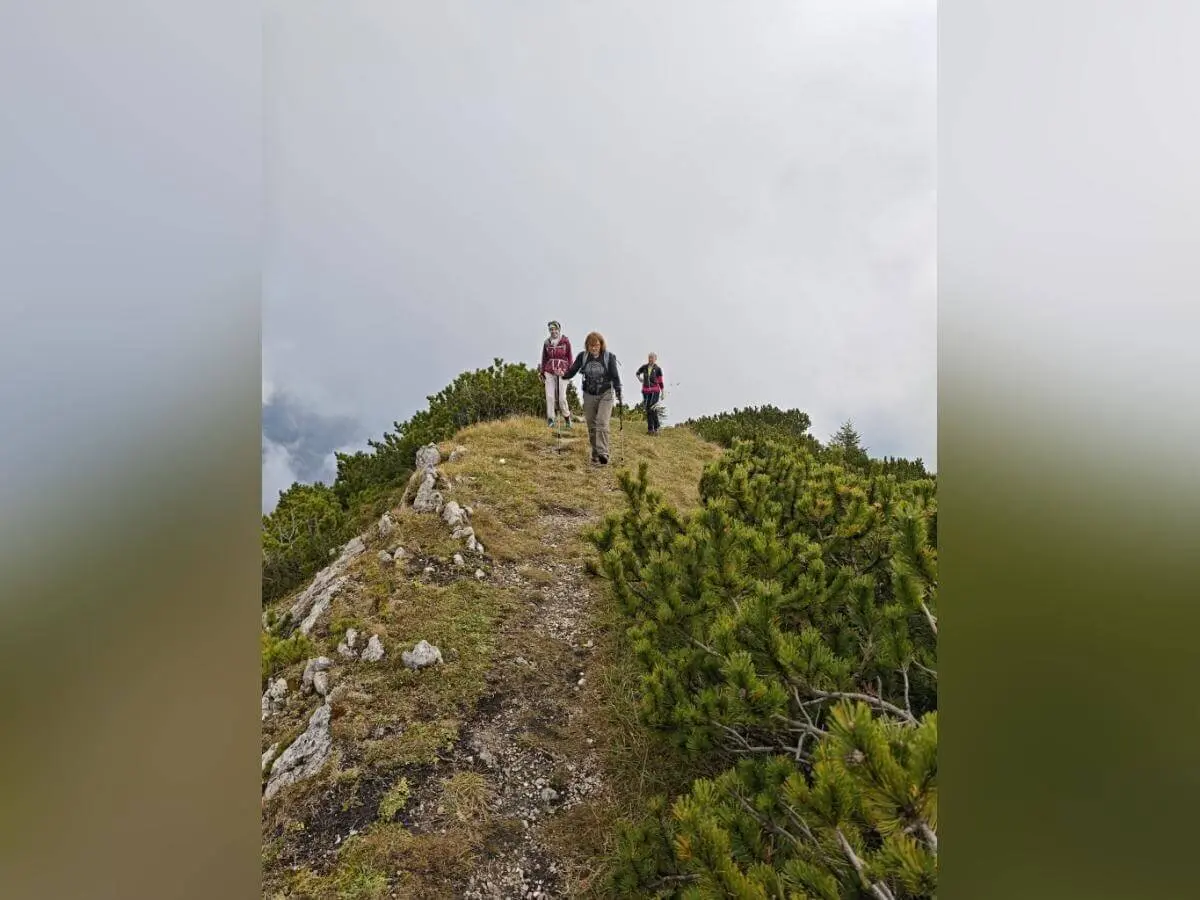 Vier Wandernde auf schmalem, steinigem Gratweg; umgeben von grüner Vegetation und bewölktem Himmel. | © DAV Markt Schwaben | Foto Helga Peters