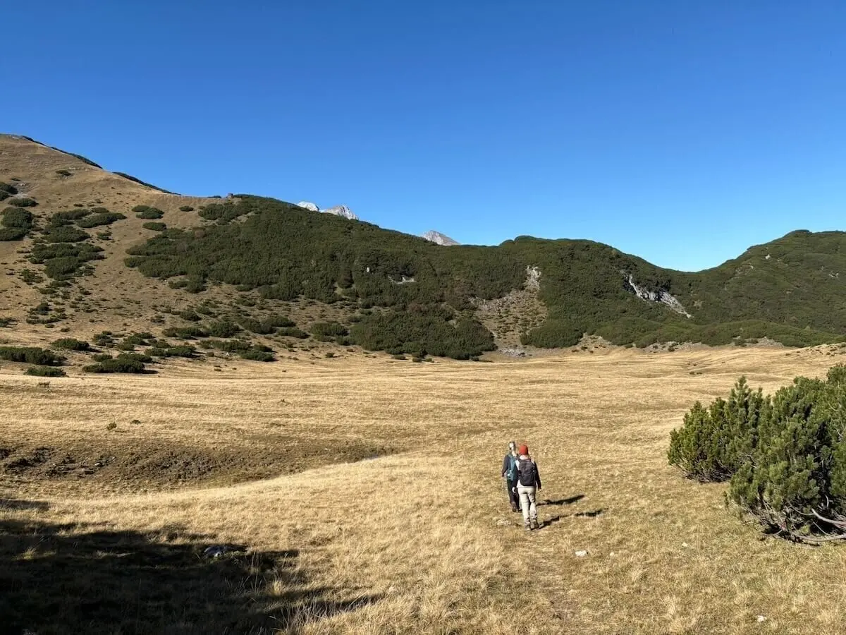 Eine Person wandert mit Rucksack durch eine offene Almfläche; im Hintergrund sanfte Hänge mit Sträuchern und Bäumen. | © DAV Markt Schwaben · Foto: Markus Zimmermann