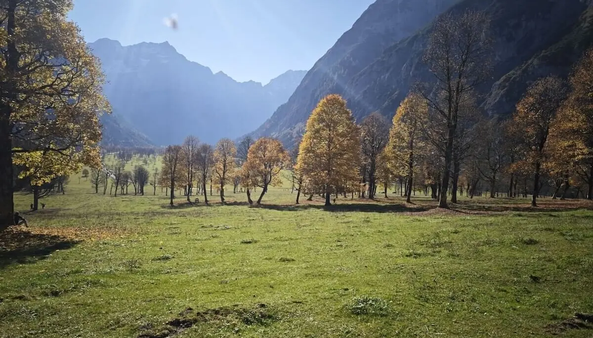 Grüne Wiese mit buntem Laubwald vor schroffen Berggipfeln; Sonnenlicht betont Farben und Schatten im Gelände. | © DAV Markt Schwaben · Foto: Matzinger