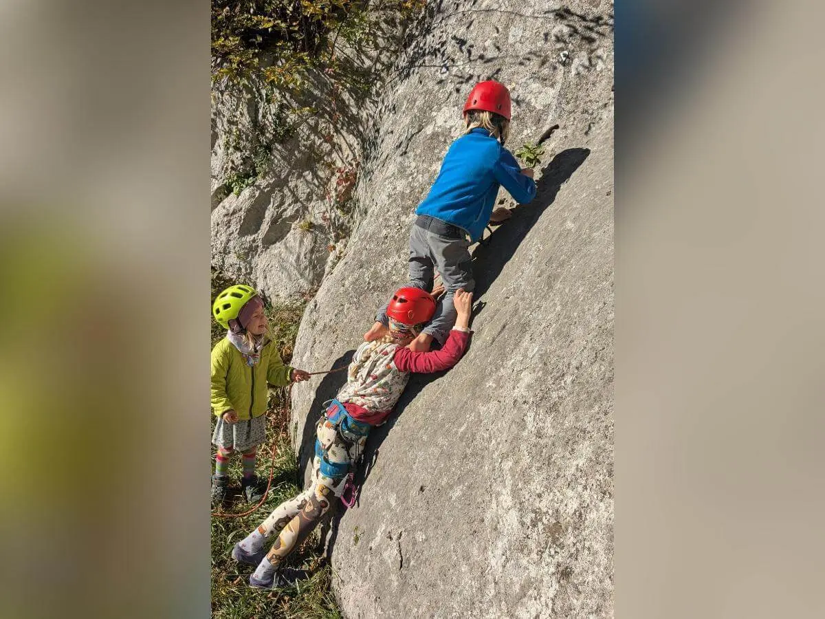 Mehrere Kinder stehen auf einer Wiese und füttern zwei schwarze Ziegen mit grünen Blättern. Einige tragen Helme. Im Hintergrund sind Bäume, Felsen und Sonnenlicht zu sehen. | © DAV Markt Schwaben · Foto: Silke Titze