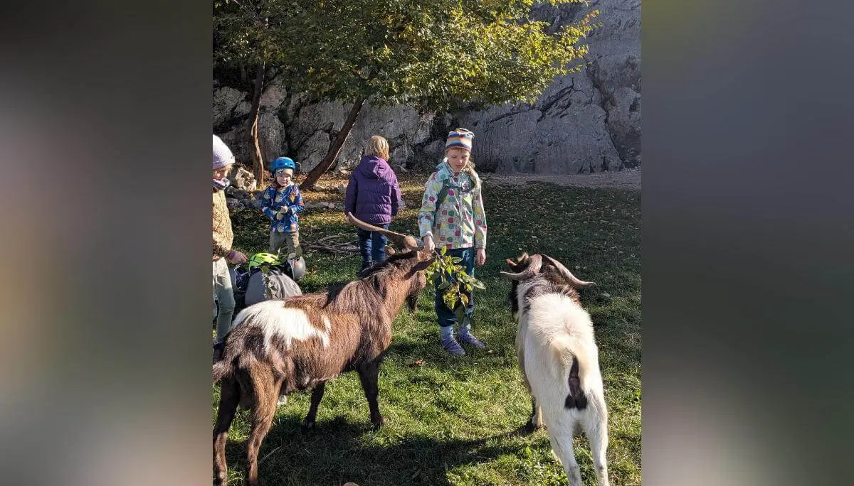 Drei Kinder mit Helmen sind an einem geneigten Felsen aktiv: Zwei klettern, eines steht unten und hält ein Seil. Die Umgebung ist natürlich mit Gras und Herbstlaub. | © DAV Markt Schwaben · Foto: Silke Titze