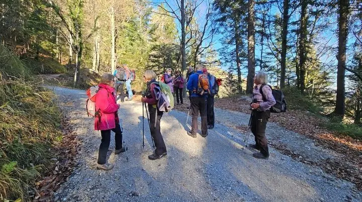 Gruppe Wandernder mit Rucksäcken und Stöcken auf herbstlichem Waldweg, Sonnenlicht fällt durch hohe Bäume. | © DAV Markt Schwaben · Foto: Hubert Inhofer
