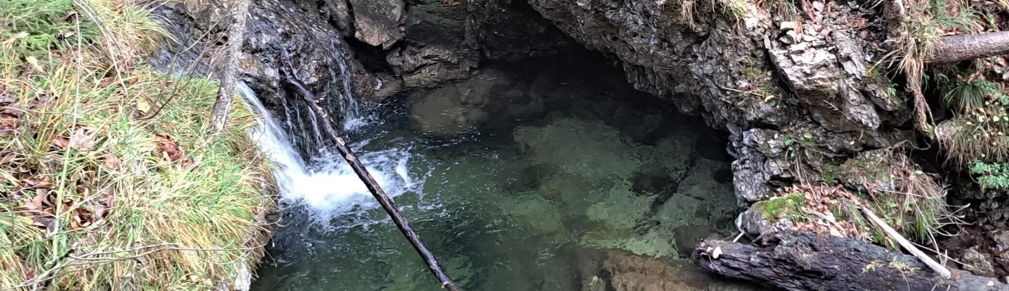 Ein klarer Gebirgsbach fließt über moosbedeckte Steine in einen kleinen natürlichen Gumpen. Umgeben von Laub, Ästen und Gras wirkt die Szene ruhig und abgeschieden. Das Wasser ist durchsichtig und zeigt die Tiefe sowie die Struktur der Felsen darunter. | © DAV Markt Schwaben | Foto: Tanja Döhler