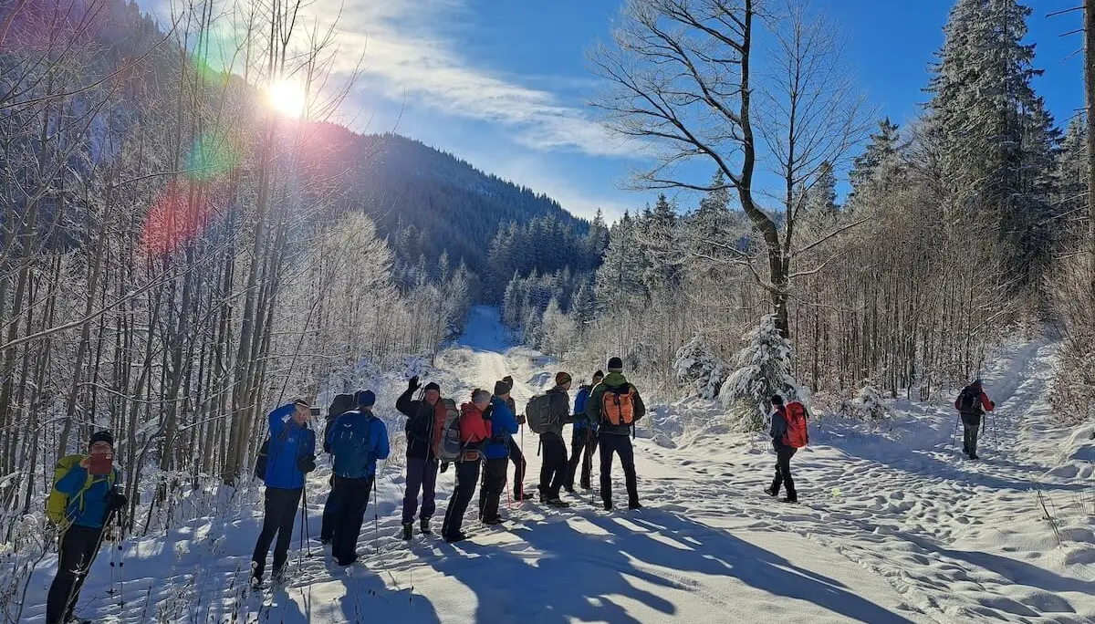 Wandergruppe mit Stöcken und Rucksäcken auf verschneitem Waldpfad, Sonnenlicht fällt durch hohe Bäume von rechts. | © DAV Markt Schwaben · Foto Tanja Döhler