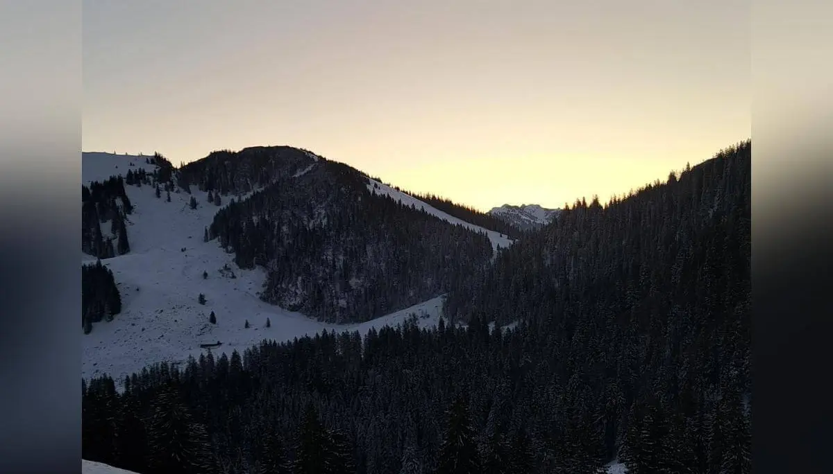 Verschneite Berglandschaft mit Nadelwäldern im sanften Licht des Sonnenaufgangs, klare Sicht auf Gipfel und Täler. | © DAV Markt Schwaben · Foto Tanja Döhler