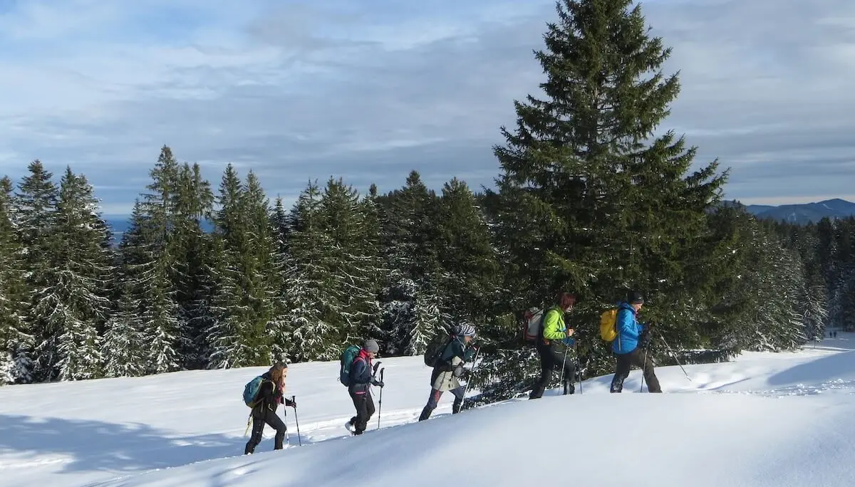 Fünf Wandernde steigen mit Winterausrüstung durch tiefen Schnee bergauf; im Hintergrund verschneiter Tannenwald und Gipfel. | © DAV Markt Schwaben | Foto: Gerlinde Hübl