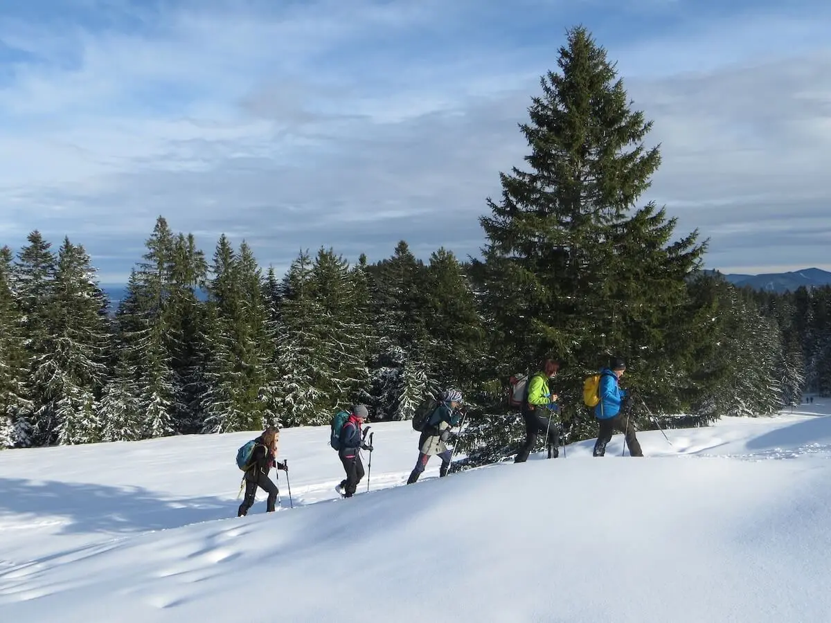 Fünf Wandernde steigen mit Winterausrüstung durch tiefen Schnee bergauf; im Hintergrund verschneiter Tannenwald und Gipfel. | © DAV Markt Schwaben | Foto: Gerlinde Hübl