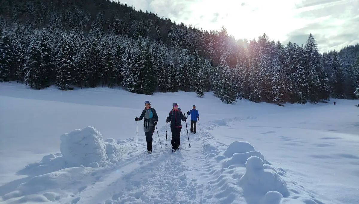 Drei Wandernde folgen einem verschneiten Waldweg; Sonnenlicht fällt durch Tannen und wirft Schatten auf den Schnee. | © DAV Markt Schwaben | Foto: Christine Strasser