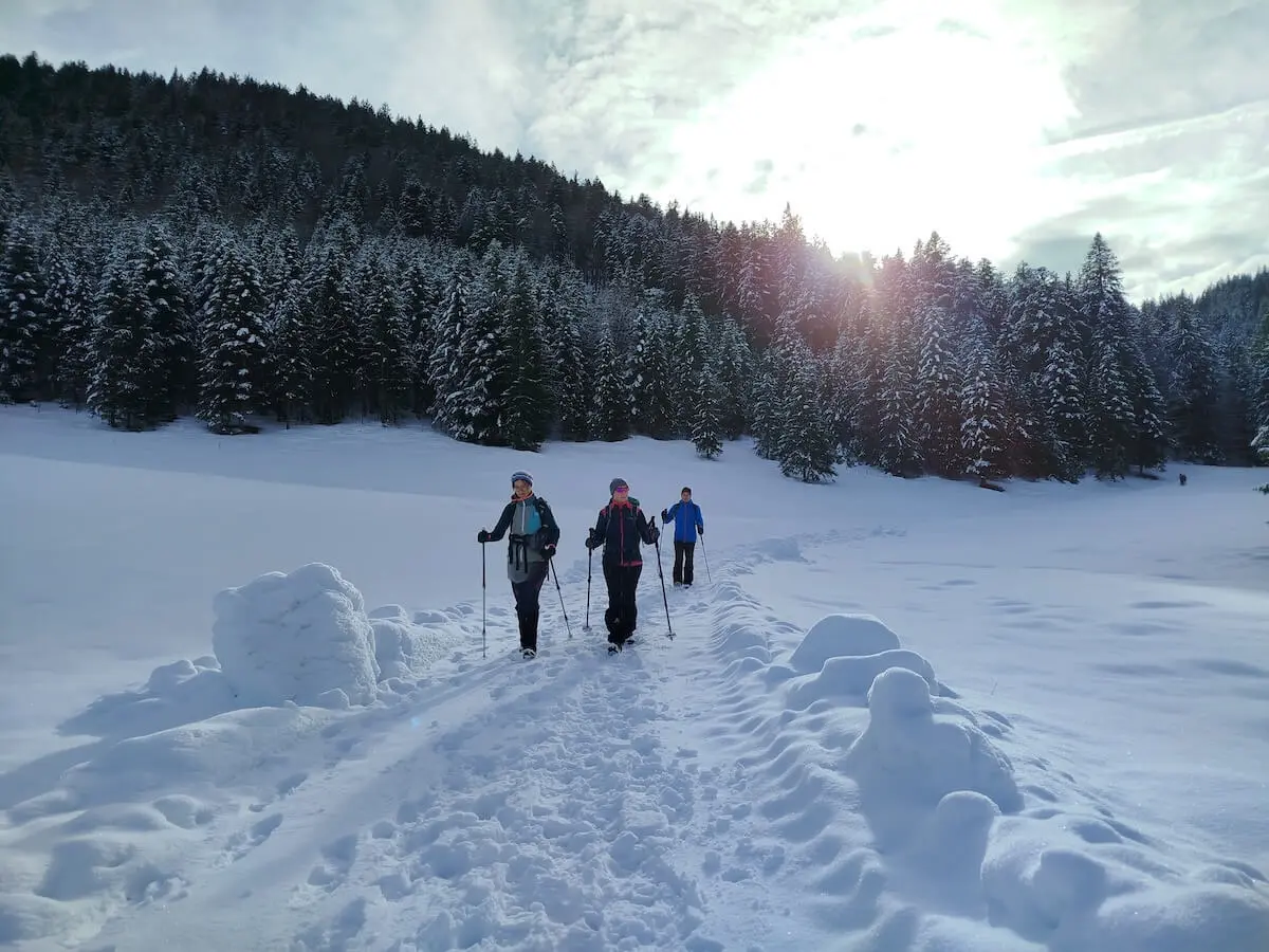 Drei Wandernde folgen einem verschneiten Waldweg; Sonnenlicht fällt durch Tannen und wirft Schatten auf den Schnee. | © DAV Markt Schwaben | Foto: Christine Strasser