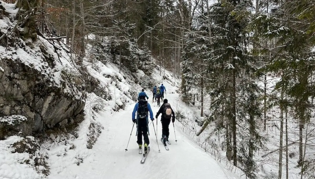 Aufstieg auf der Forststraße | © Peter Langenbacher 2025